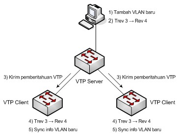 Allow switch. VLAN Trunking Protocol. VTP.